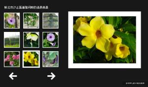 SimpleViewer Flash ïu